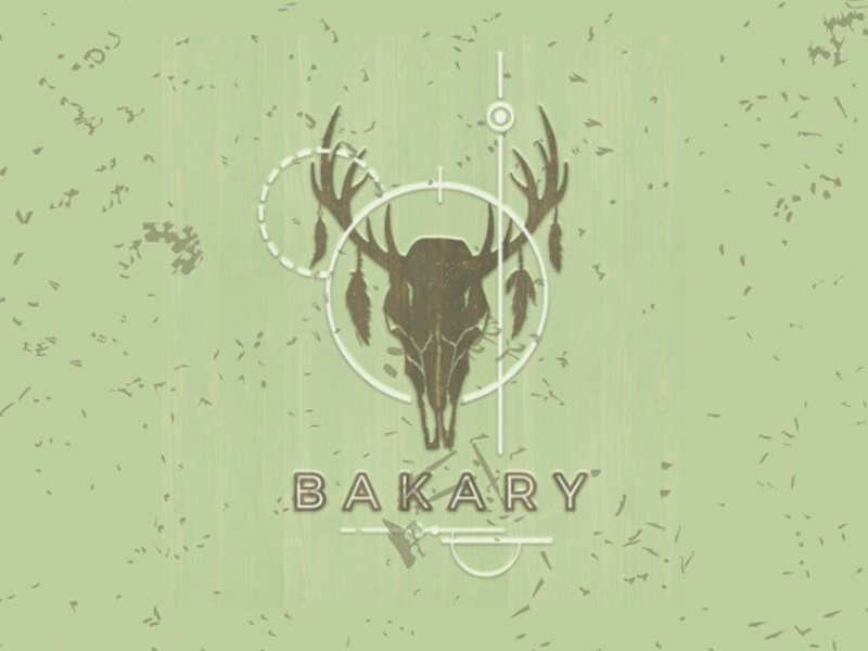 Bakary Bar
